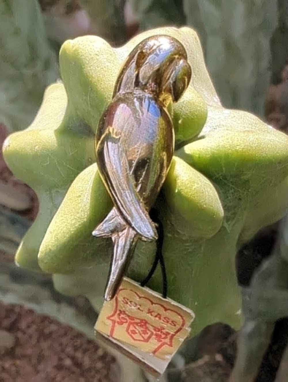 Vintage Sol Kass Mark XIV Parrot Brooch Pin - New Old Stock with Tag